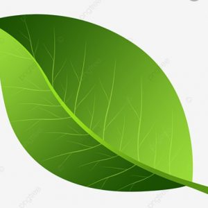 Images Canal_0