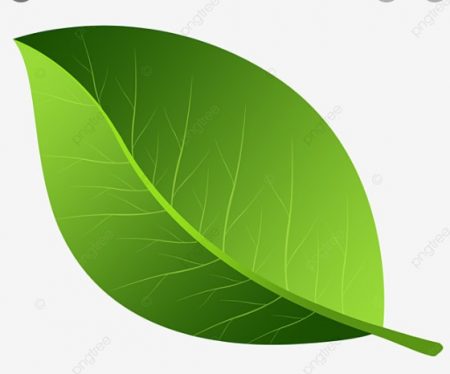 Images Canal_0