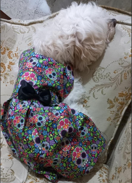 Vestido para Perro Día de Muertos_2